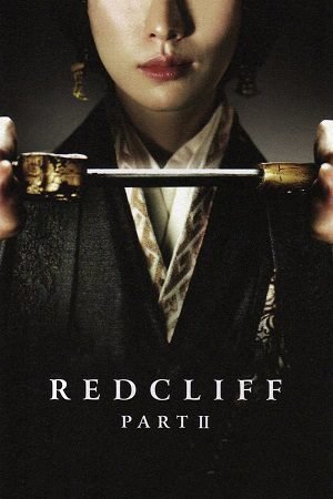 Download Red Cliff II (2009) Blu-Ray Dual Audio {Hindi-Chinese} 480p [500MB] | 720p [1GB] | 1080p [3.1GB]